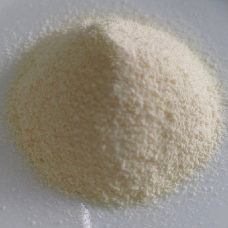 Wie verbessert Antacida Non-Dairy Creamer den Verdauungskomfort bei täglichen Getränken?